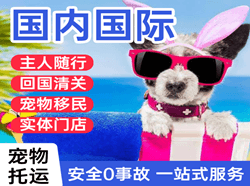 徐州观音航空邮寄国际宠物托运 【国
